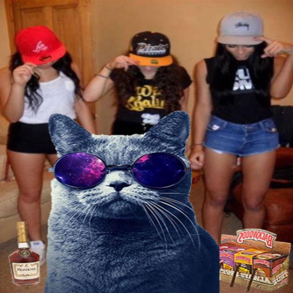 nerd (feat. phreshboyswag) (Explicit)