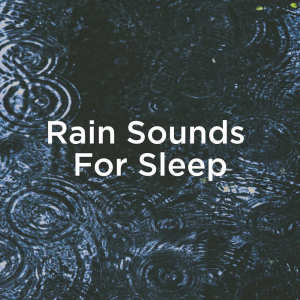 ดาวน์โหลดและฟังเพลง Rain For Sleeping พร้อมเนื้อเพลงจาก Rain Sounds