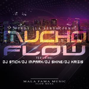 Listen to Mucho Flow  song with lyrics from Dj Stich