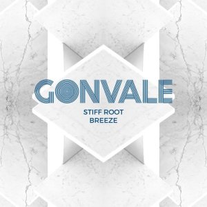 ดาวน์โหลดและฟังเพลง Breeze (Original Mix) พร้อมเนื้อเพลงจาก Stiff Root