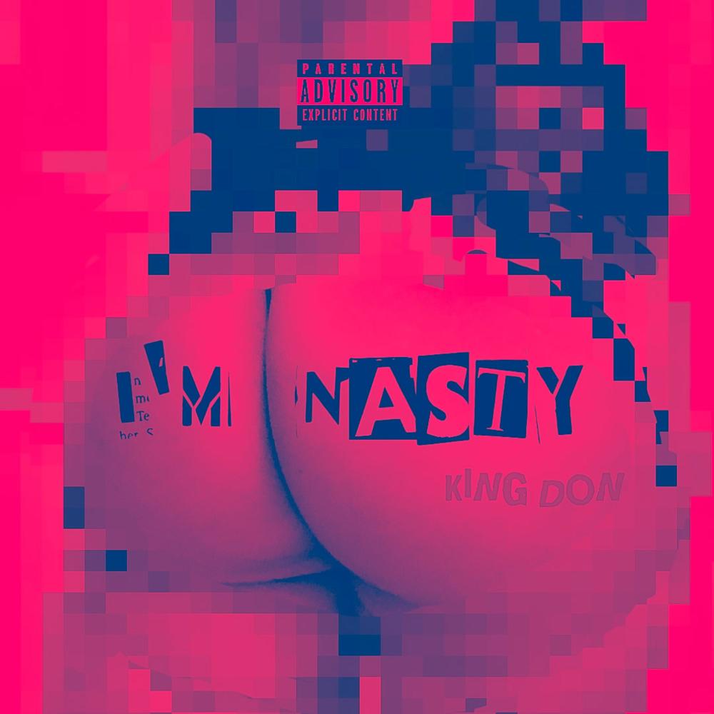 I'm Nasty (Explicit)