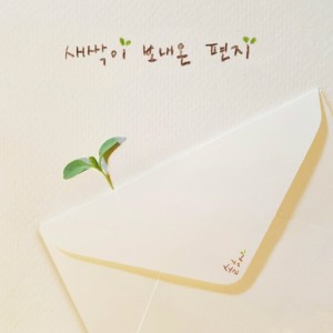 Album Song Of Leaf from SOLHA