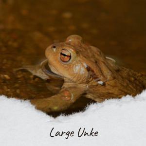 Dengarkan lagu Thee Want nyanyian Maain dengan lirik