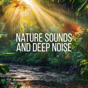 收听Deep Meditation Experiences的Night Music歌词歌曲