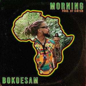 Bokoesam的專輯Morning