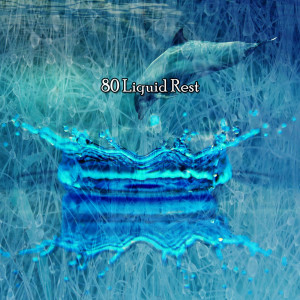 Album 80 Liquid Rest from White Noise