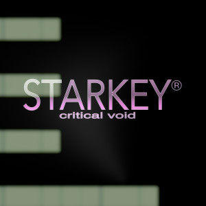 ดาวน์โหลดและฟังเพลง Critical Void พร้อมเนื้อเพลงจาก Starkey