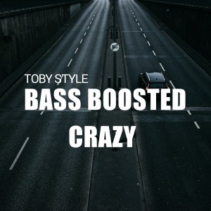 Listen to Bass Boosted Crazy song with lyrics from TOBY STYLE
