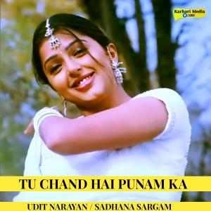 Album Tu Chand Hai Punam Ka from Sadhana Sargam