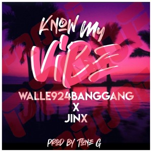 Listen to Know My Vibes song with lyrics from Walle924BangGang