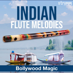 Iwan Fals & Various Artists的專輯Indian Flute Melodies - Bollywood Magic