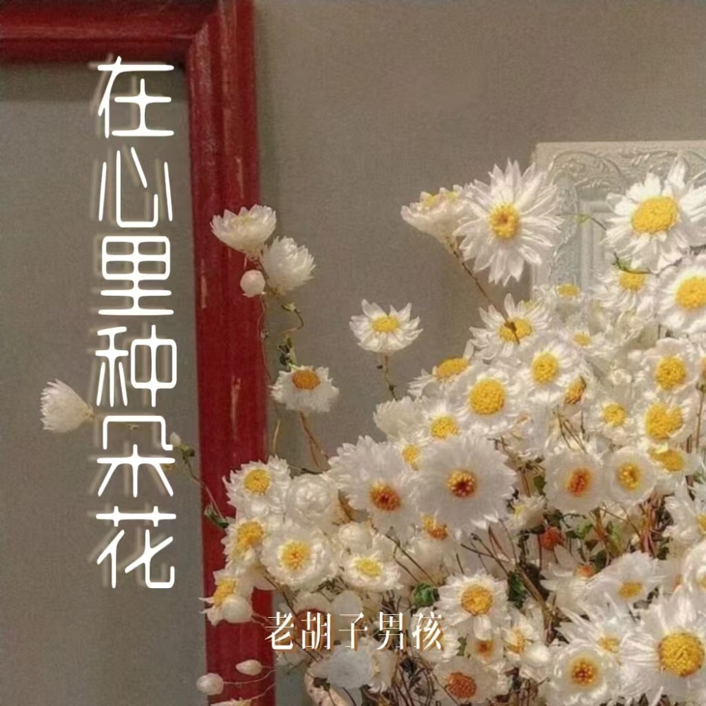 在心里种朵花 (伴奏)