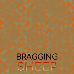 Listen to Person Major song with lyrics from Cheb Tsow