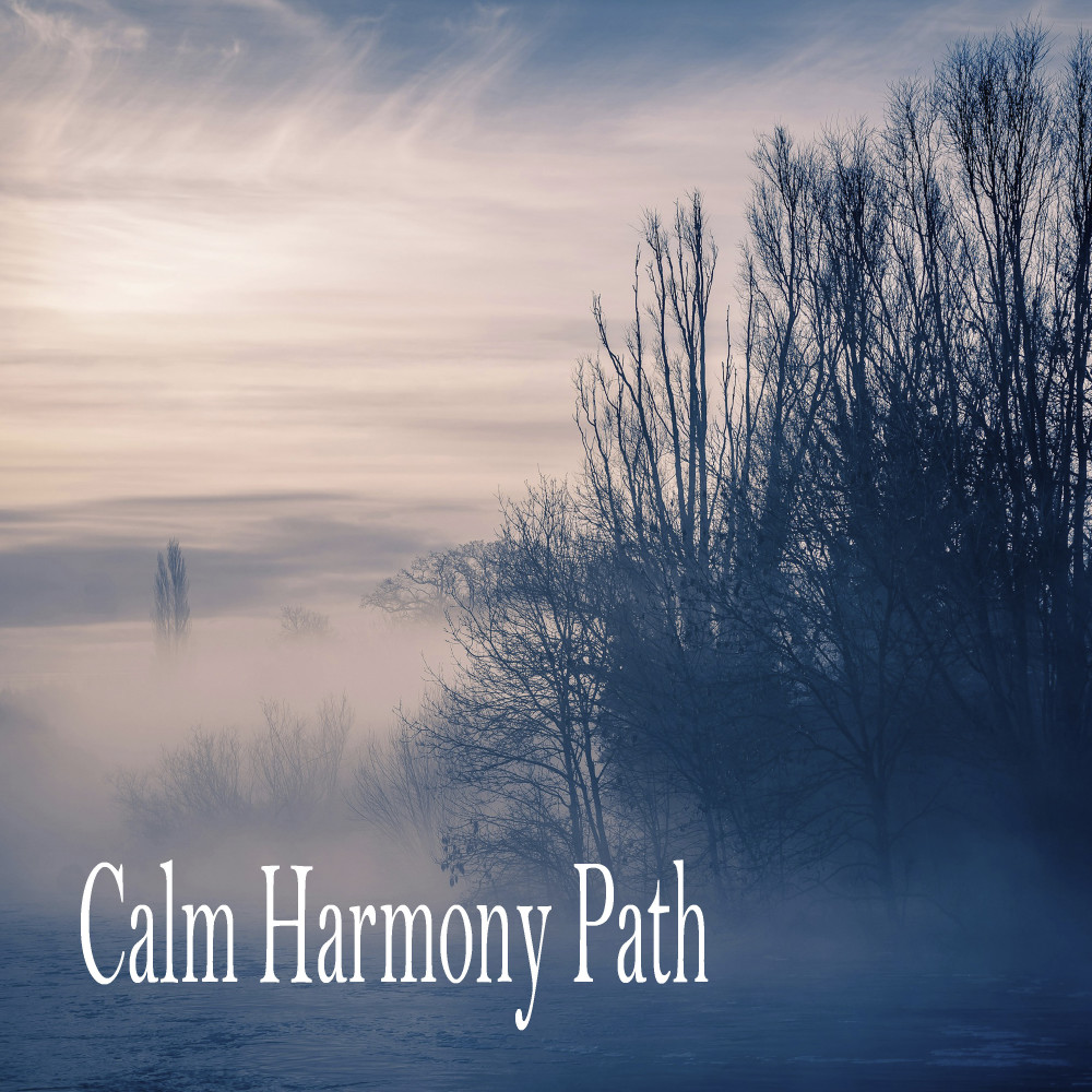 Silent Harmony