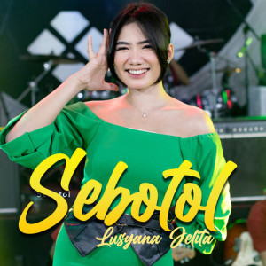收聽Lusyana Jelita的Sebotol歌詞歌曲