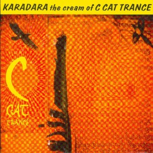 ดาวน์โหลดและฟังเพลง Cold พร้อมเนื้อเพลงจาก C Cat Trance