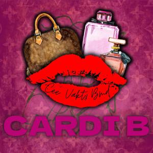 收聽BMD的Cardi B (Cee & Vakt Remix|Explicit)歌詞歌曲