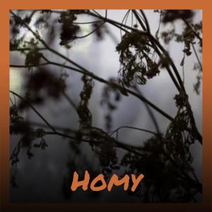 Listen to Homy song with lyrics from Sman Atte