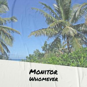 Various的专辑Monitor Whomever