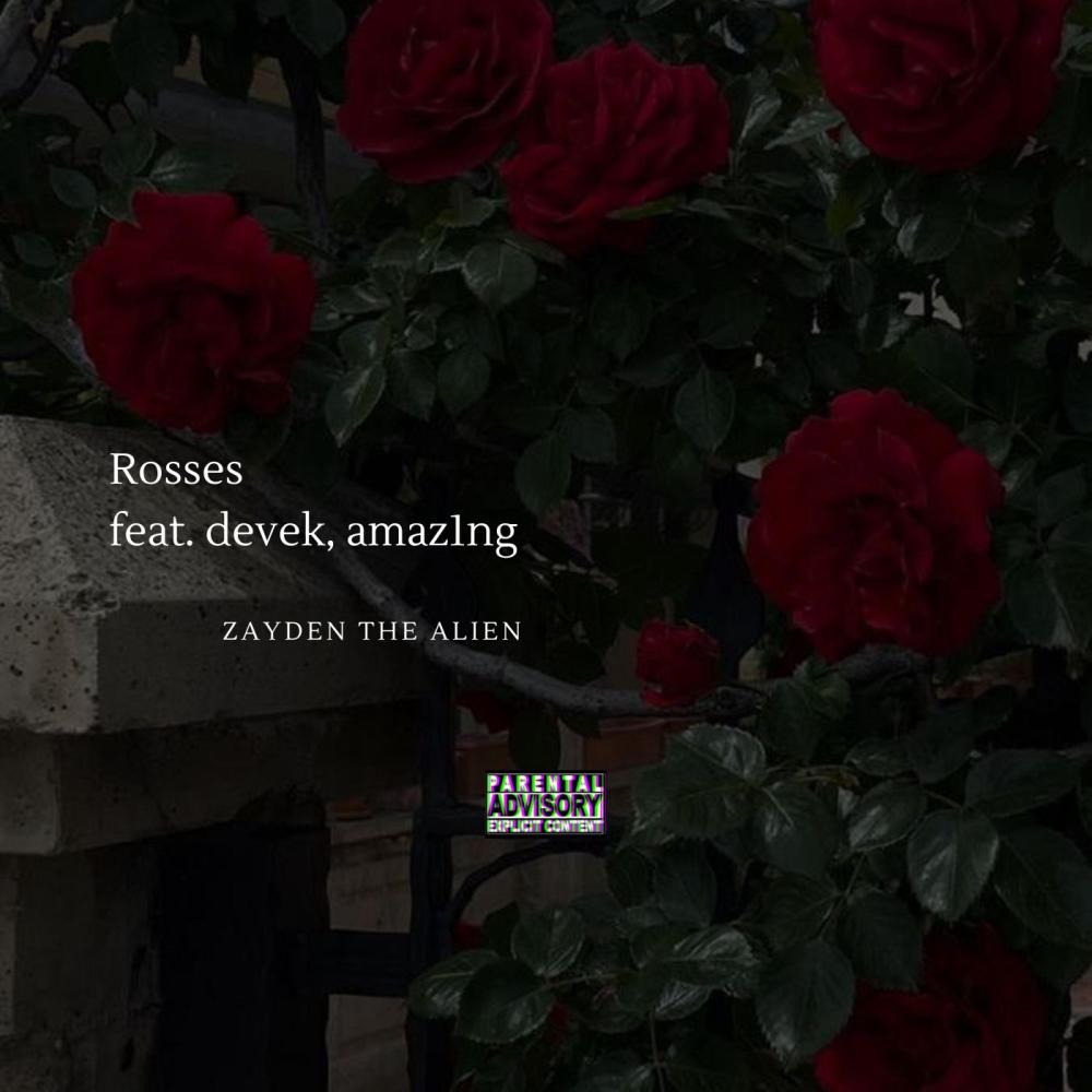 rosses (feat. devek & amaz1ng) (Explicit)