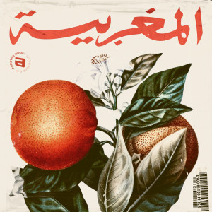 收听Hamid El Mardi的Jani message歌词歌曲