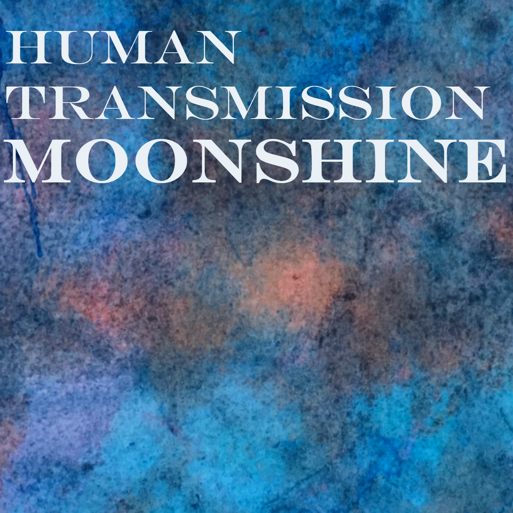 Human Transmission-Try Your Love.wav