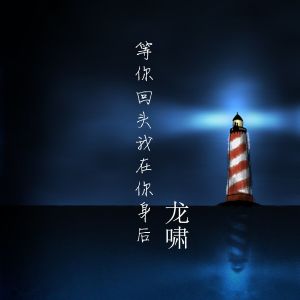 Listen to 等你回头我在你身后 song with lyrics from 龙啸