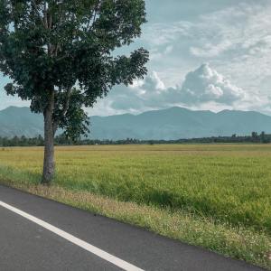 Dengarkan Yoga in the Morning lagu dari Deep Sleep dengan lirik
