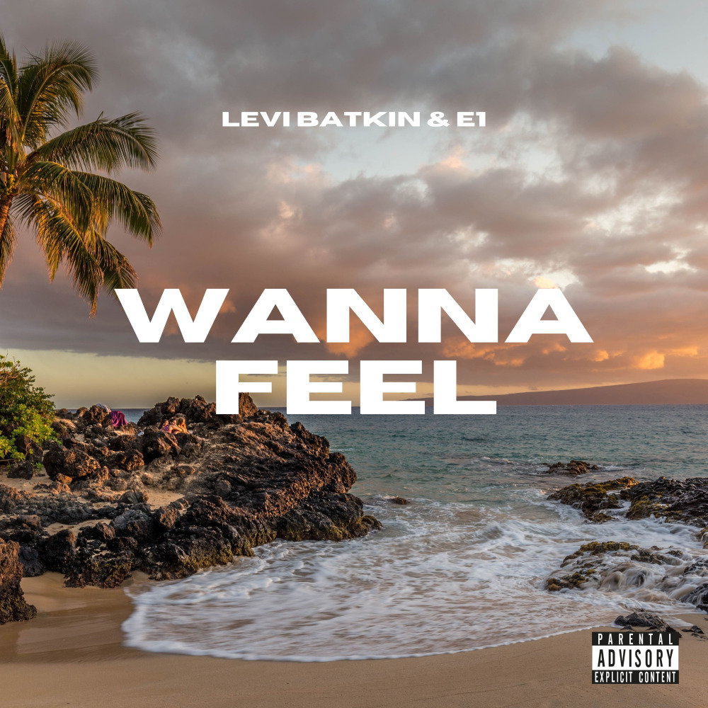 Wanna Feel (Explicit)