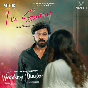 Dengarkan lagu I'm Sorry (Male Version) (From "Wedding Diaries") nyanyian Swaraag Keerthan dengan lirik