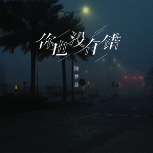 Listen to 你也没有错 song with lyrics from 陈梦嘉