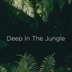 Dengarkan Deep In The Forest lagu dari BodyHI dengan lirik