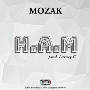Mozak的專輯H.A.M (Explicit)