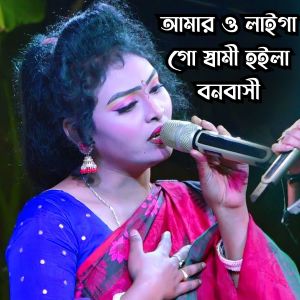 Listen to Amar o Lagiya go Shami Hoilo Bonobashi song with lyrics from Jarin Akter