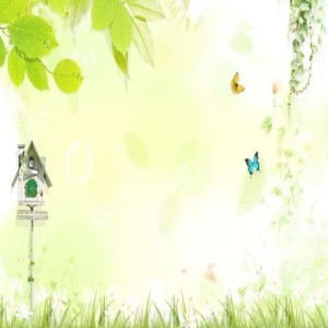 Album Comfortable Party from 袁诚