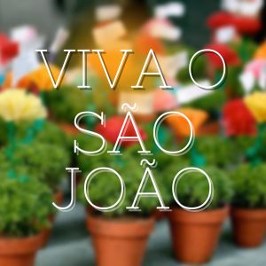 Listen to Viva o São João song with lyrics from Tiago Neto