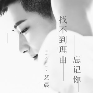 Listen to 找不到理由忘记你 song with lyrics from 陈子旭