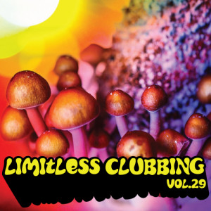 Album Limitless Clubbing, Vol. 29 from Various