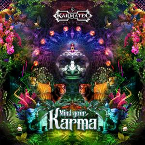 Various Artists的专辑Mind your Karma