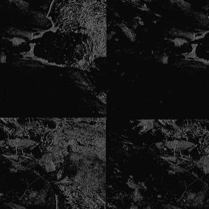 Album Put Em in The Ditch from RunAw
