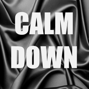 ดาวน์โหลดและฟังเพลง Calm Down (In The Style of Busta Rhymes) (Instrumental Version) (In The Style of Busta Rhymes|Instrumental Version) พร้อมเนื้อเพลงจาก Out Trax