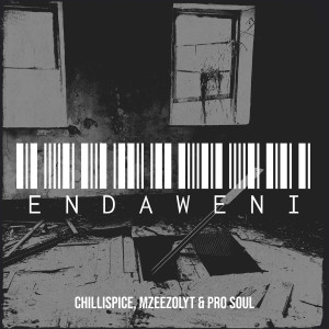 Listen to Endaweni song with lyrics from ChilliSpice