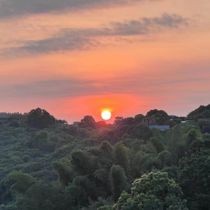 Album 若可 from 陈健平