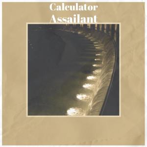 Various的专辑Calculator Assailant