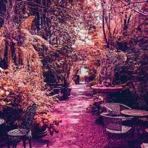 default playlist img