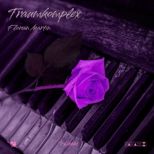 收聽Florian Martin的Traumkomplex歌詞歌曲