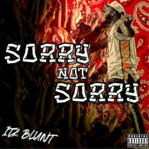 Itz Blunt的专辑Sorry Not Sorry (Explicit)