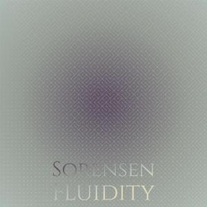 Various的专辑Sorensen Fluidity