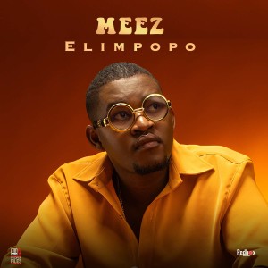 Listen to Elimpopo song with lyrics from Meez