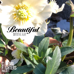 ดาวน์โหลดและฟังเพลง Beautiful พร้อมเนื้อเพลงจาก Crystal Kay